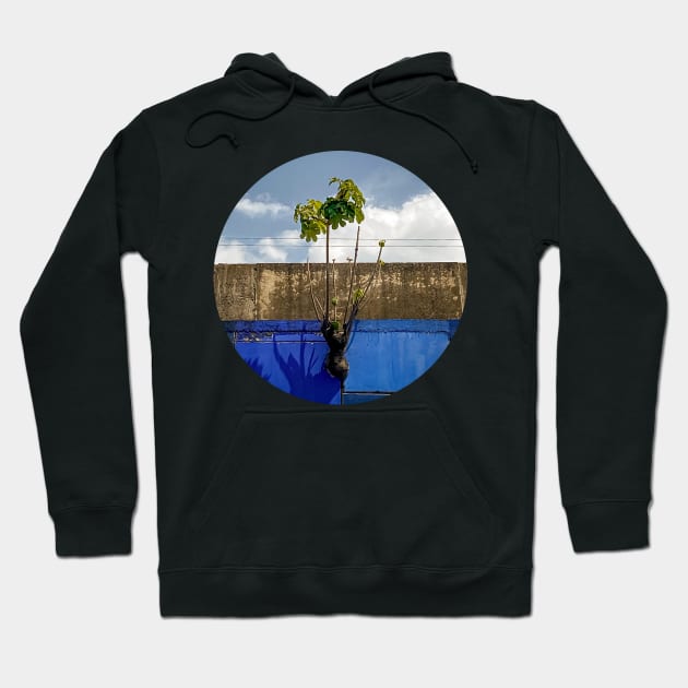 save the earth Hoodie by rickylabellevie